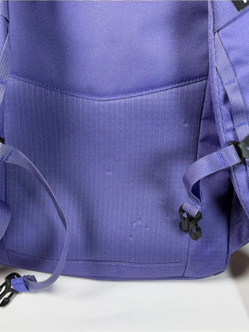 Patagonia Black Hole 25L Backpack Purple EUC